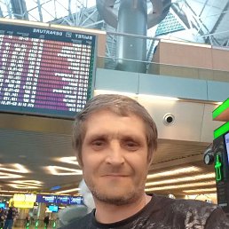 ����, 44 ����, ����������