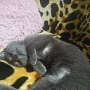 ���� ������, �������, 45 ��� - ��������� 30 ����� 2026