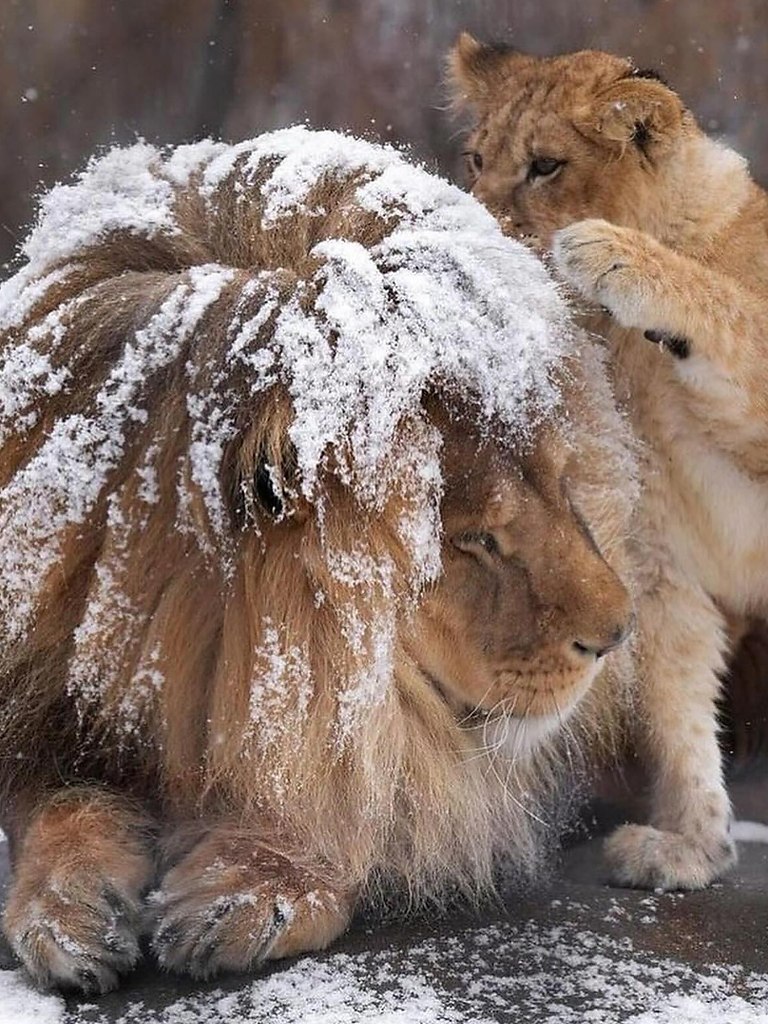   - 5  2025  15:25 - 5