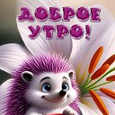   !,  -  15  2025    