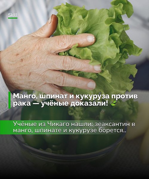 Учёные намекают, что обычный рацион может стать частью онкопротекции: продукты вроде манго, шпината ...