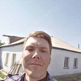 , 37, 