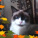 ���� �����, ������, 67 ��� - ��������� 29 ������ 2024 � ������ ������ ��������