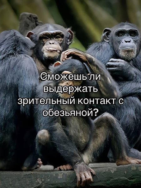���� - 24 ������� 2025 � 12:52