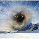 ���� ������, ������� - ��������� 26 ����� 2024 � ������ ����������� ���������� ����� ����������