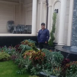 ��������, �����, 46 ���