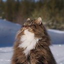 ���� Vita, ������ - ��������� 25 ���� 2026