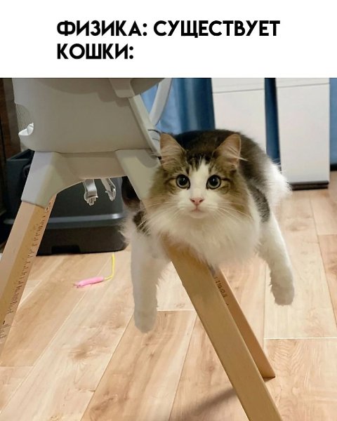      - 2