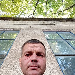 , 40, 