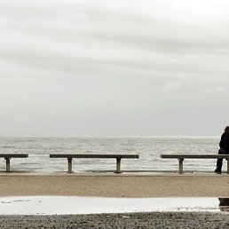 ����� ������, ������, 28 ���