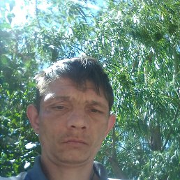 , 38, 