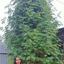 ���� ����, ��������� - ��������� 21 ������� 2023 � ������ ���� ����������