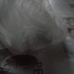 ����, ������, 46 ���