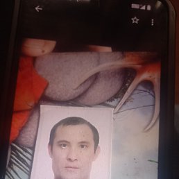 , 36, 