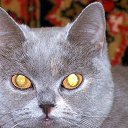 ��������� �� ������� ���� ����������