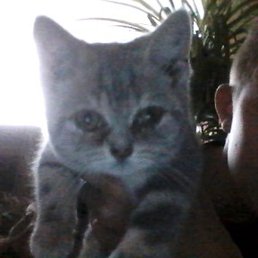 Rrtyuuih, ������, 20 ���