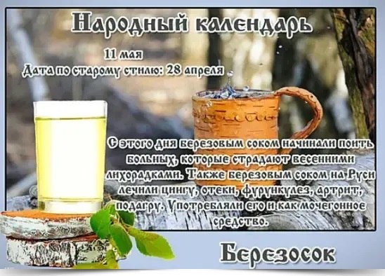 11   .     : 28 .     ...