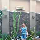 ���� �������, ������, 62 ���� - ��������� 2 ������� 2026 � ������ ���� ����������