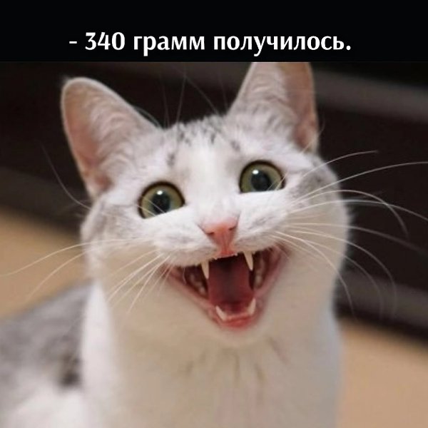 ��� ���� � ����� �� �� - 2 ������ 2026 � 16:33 - 4
