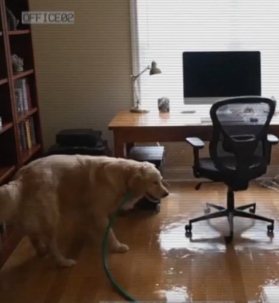 ����� �� �� ������� �������