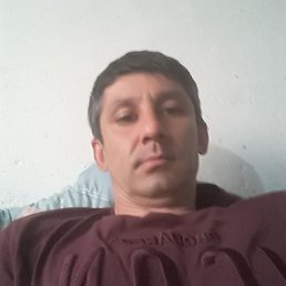 , 41, 