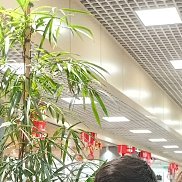 Validjon, 25 ���, ������
