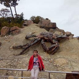 , 57, 