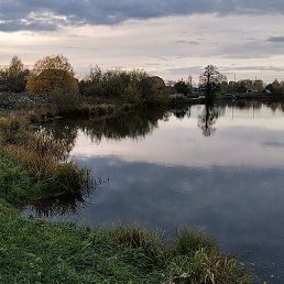 Igor, ������, 63 ����