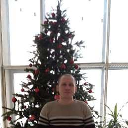 ���������, 37 ���, ������������