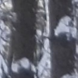 ������, ����, 65 ���