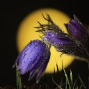 ���� ������, ����-��� - ��������� 24 ������ 2025 � ������ ������������ ����� 1�