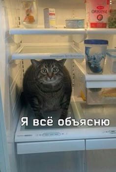   - 3  2025  13:18