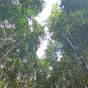 ���� ������, ���������, 51 ��� - ��������� 7 ������ 2026 � ������ ������ ��������