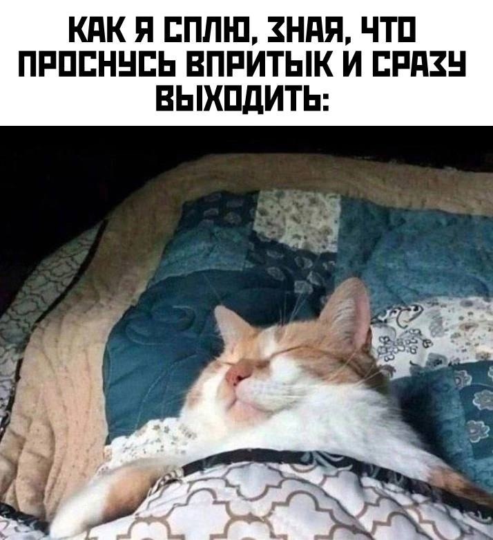  - 30  2025  00:22