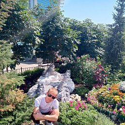 �����, 37 ���, ������