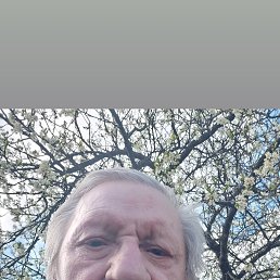 ���� Viktor, ����, 75 ��� - ��������� 27 ��� 2024