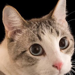 Random, �����, 30 ���