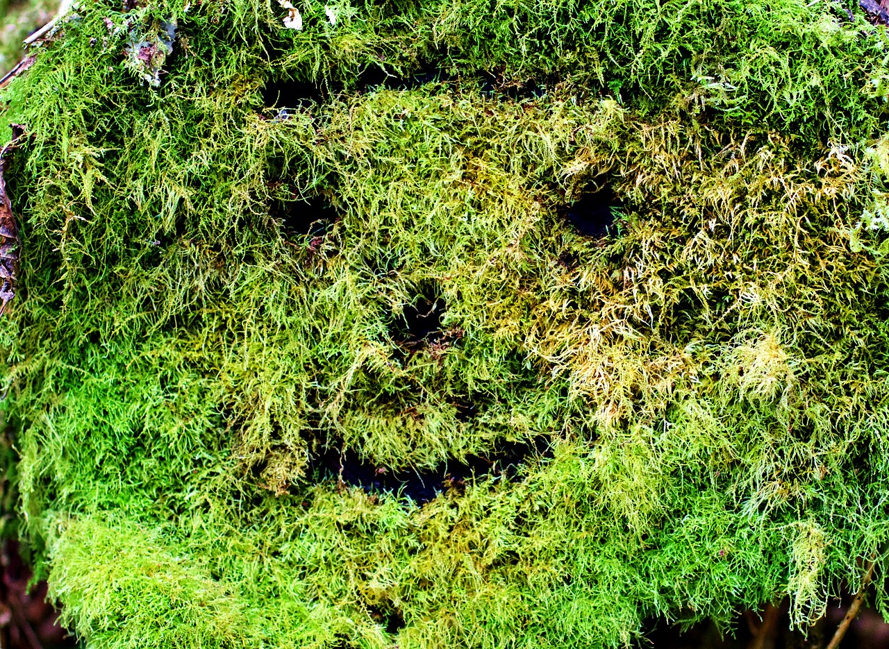  -     ,     ,    ...