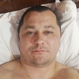 ������, ������������, 44 ����