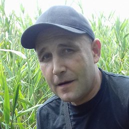 ����, ������� ���, 43 ����