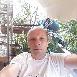 Vladimir, �����