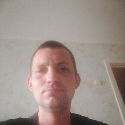 , 33, 