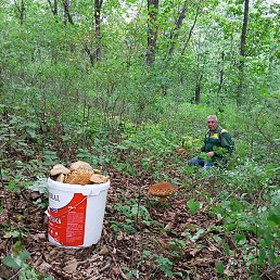 ����������, �����������, 55 ���