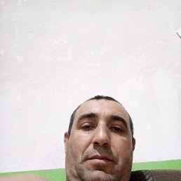 , 41, 