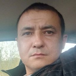 �����, ������, 37 ���