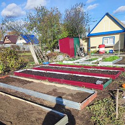 Idris, ������, 60 ���