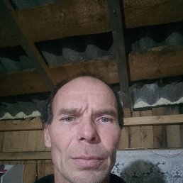 ����, 46 ���, ���������