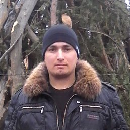 , 41,  