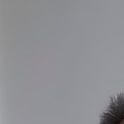 , 55 , 