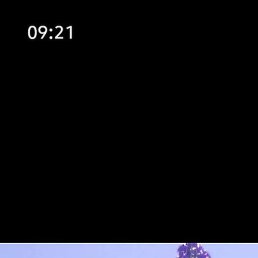 ������, ����, 36 ���